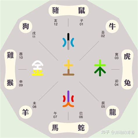 子丑寅卯五行